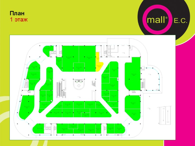 План  1 этаж